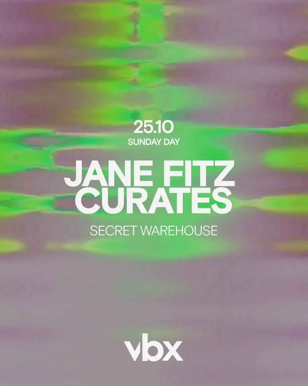 Jane Fitz curates VBX: SECRET WAREHOUSE flyer