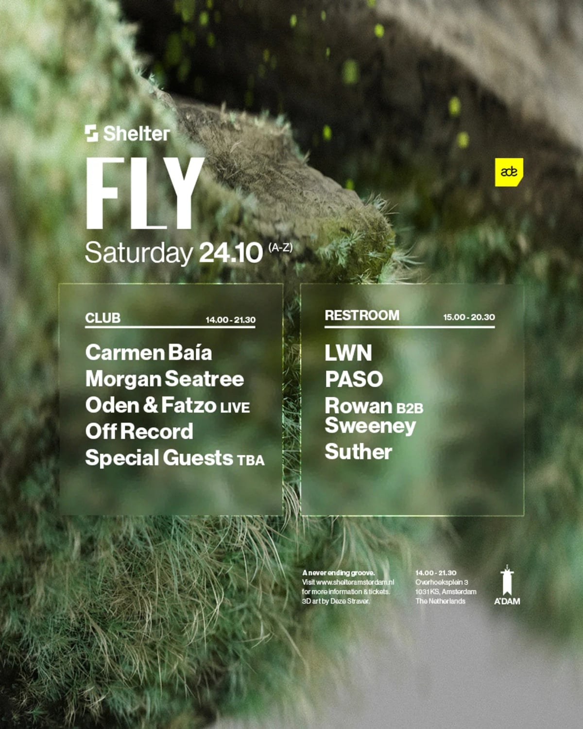 Fly flyer